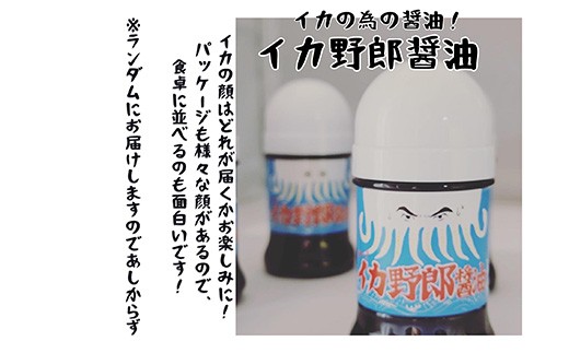 ※イカの顔はどれが届くかお楽しみに！