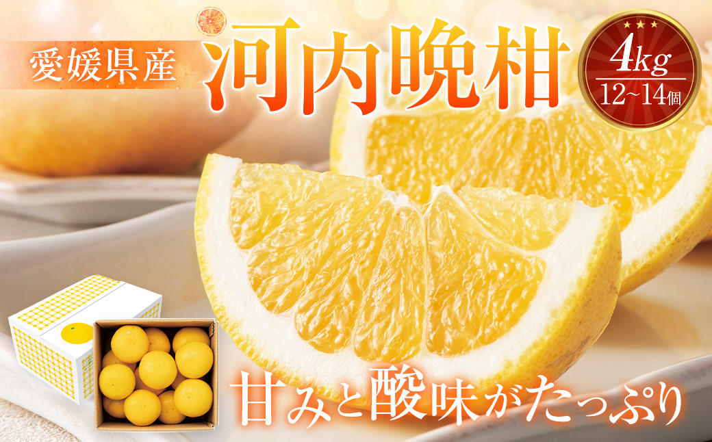 
            愛媛県産 河内晩柑 4kg（12～14個） 晩柑 果物 フルーツ 【2025年5月下旬～6月上旬発送予定】（873）
          