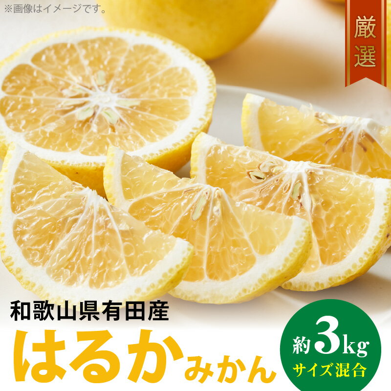 【ふるさと納税】【限定】 【2026年先行予約】【人気柑橘】厳選！ はるか みかん 3kg (サイズ混合)【ミカン 蜜柑 春みかん 柑橘 和歌山 有田 日向夏】