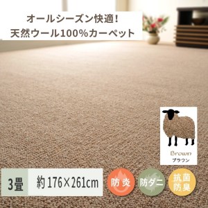 天然ウール100%の 防炎 カーペット 1枚 3帖 ブラウン 約176×261cm 600023630 [3540]