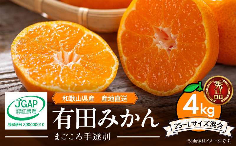
            ZE6344n_01_【2025年先行予約】【2026年1月発送】和歌山県産 有田みかん 4kg (2S～Lサイズ混合)【まごころ手選別】
          