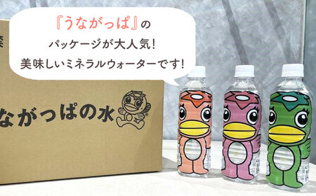 【12回定期便】 うながっぱの水 1ケース（ 500ml ペットボトル × 24本 ） 2 多治見市 /多治見市観光協会 ミネラルウォーター 備蓄[TAQ018]