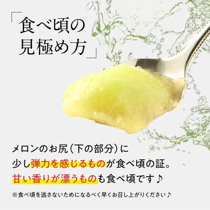 【2027年4下旬-発送】プリンスメロン 約4kg（7-13玉） [SCV010] メロン
