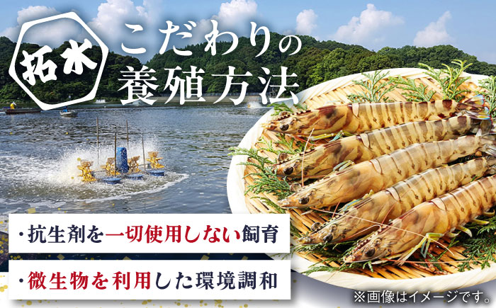 【10月1日金額改定予定！】【伊万里特産】車海老みそ漬 計450g（車海老250g、味噌200g） / 海老 エビ 車海老 / 佐賀県 / 株式会社 拓水 伊万里クルマエビセンター [41AEAJ00