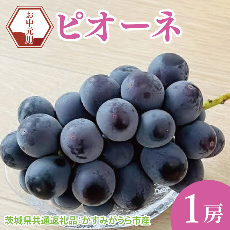 【先行予約】【お中元】ピオーネ1房（茨城県共通返礼品：かすみがうら市）（CD179）