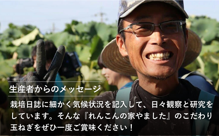 【先行予約】【農家直送！】こだわり 白石玉ねぎ 10kg【れんこんの家やました】 [IAW009]