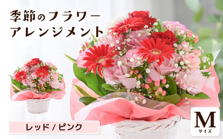 【母の日ギフト】 選べるカラー 季節のフラワーアレンジメント M (レッド・ピンク) （母の日対応） 【お花 フラワー アレジメント 花束 ギフト 生花 プレゼント 花束 花 記念日 お祝い】 [A-