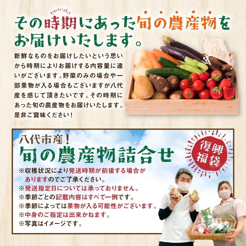 【定期便6回】【2ヶ月に1回お届け】八代市産！旬の農産物詰合せ 復興 福袋 7品以上 野菜 果物 熊本県 八代市