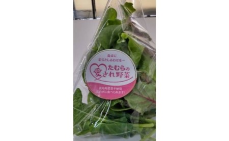 【定期便 6ヶ月連続】洗わずに食べられる！たむらの愛され野菜 ミックスリーフセット　10個 時短 サラダ 栽培期間中無農薬 安心 安全 3種類以上の野菜 ミックス野菜 サラダ野菜 すぐ食べられる 国産