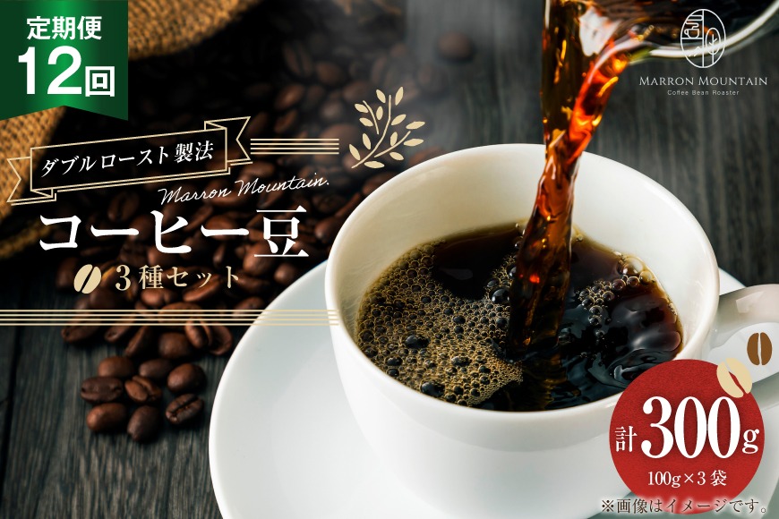 定期便 12回 コーヒー豆 3種セット 100g×3袋 [MARRON MOUNTAIN 埼玉県 小川町 306] 珈琲 ドリップ ダブルロースト製法 フルシティロースト
