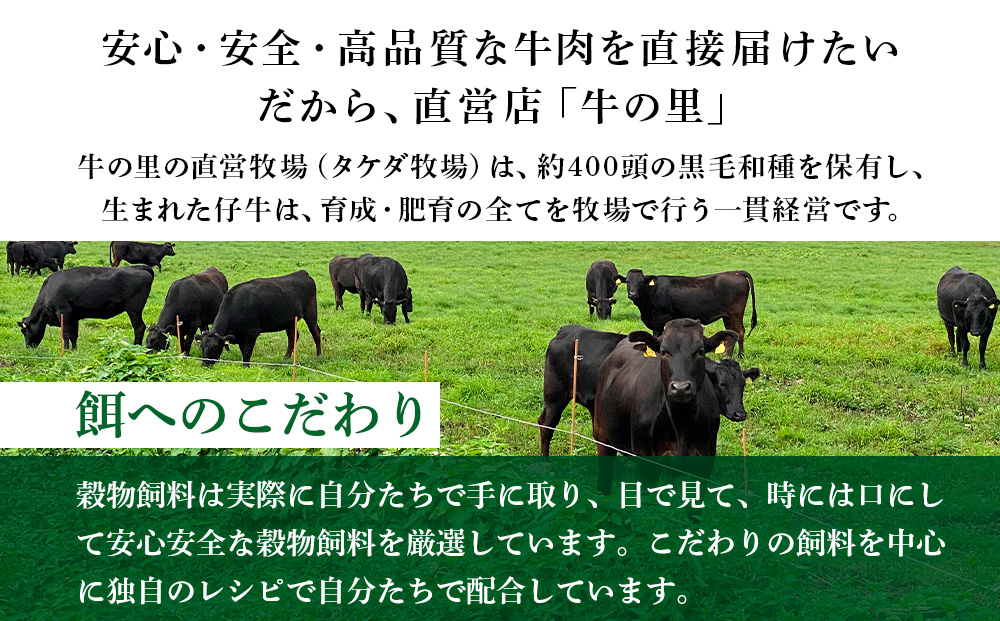 【5営業日以内発送】牛の里ビーフハンバーグ（110g×6個）特製ソース（6袋）の詰合せ AG106