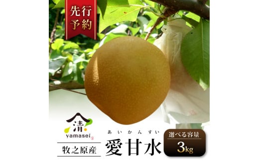  梨 愛甘水 3kg 令和7年度産 先行予約 7月中旬より 順次発送 数量限定 フルーツ なし あいかんすい 果物 お中元 贈答用 プレゼント 父の日 箱入り 国産 山清 yamasei 静岡県 牧之原市
