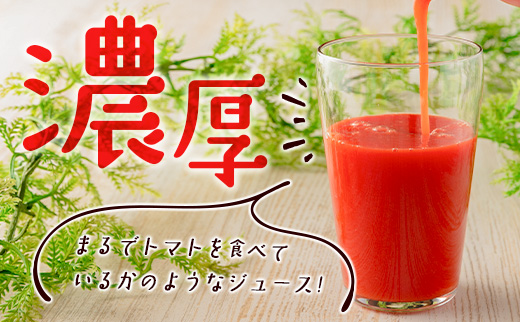 濃厚GOKUGOKU TOMATO（300ml×6本）無塩 トマトジュース【B631】