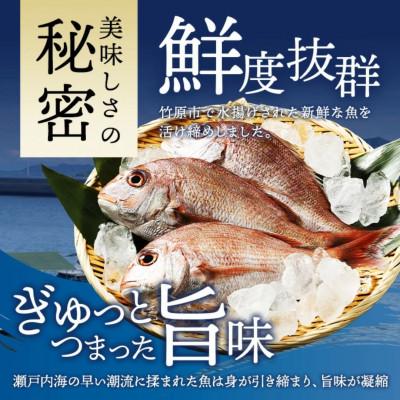 ふるさと納税 竹原市 漁協直送!瀬戸内海 天然地魚 お刺身 3種セット 500g【急速凍結 小分け 骨取り】 |  | 01