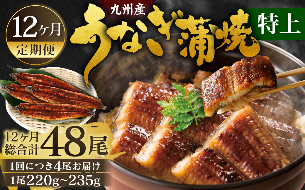 
            【12ヶ月定期便】九州産 うなぎ蒲焼 特上 4尾 (1尾あたり220～235g)  合計48尾 たれ 山椒 鰻 ウナギ 蒲焼き 国産 冷凍 鹿児島、宮崎、熊本等産うなぎ原料使用
          