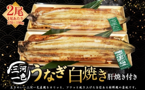 三河一色うなぎ白焼き2尾 (各170～190g) (肝焼き付き) うなぎ 白焼き