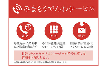 郵便局のみまもりでんわサービス(携帯電話コース12か月) チケット 
