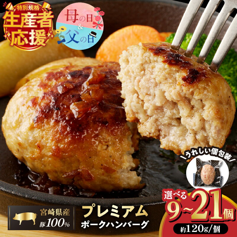 【ふるさと納税】生産者応援！【期間・数量限定特別規格】 個数が選べる！！ お家で本格ハンバーグ 宮崎県産 豚肉 プレミアム ハンバーグ 9個 11個 16個 21個 加工品 惣菜 父の日 簡単調理 真空パック 個包装 小分け おかず お弁当 おすすめ 記念日 宮崎県 都農町 送料無料