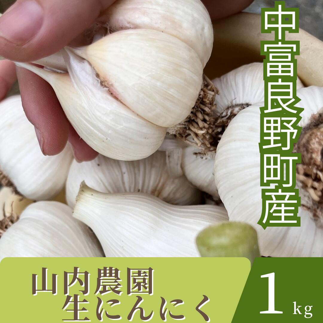 【ふるさと納税】【2025年発送】山内農園の生にんにく　1kg