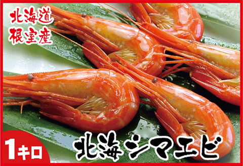 【北海道根室産】北海シマエビ1kg(160～180尾) A-07012