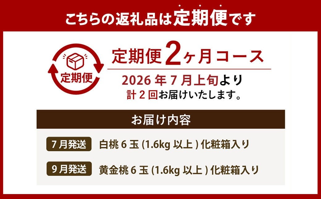 【桃定期便2回】 （白桃 ・ 黄金桃） 【2026年7月上旬より発送開始】 ／ 桃 もも 果物 果実 フルーツ 旬 食べ比べ 定期便 岡山県 美咲町 冷蔵