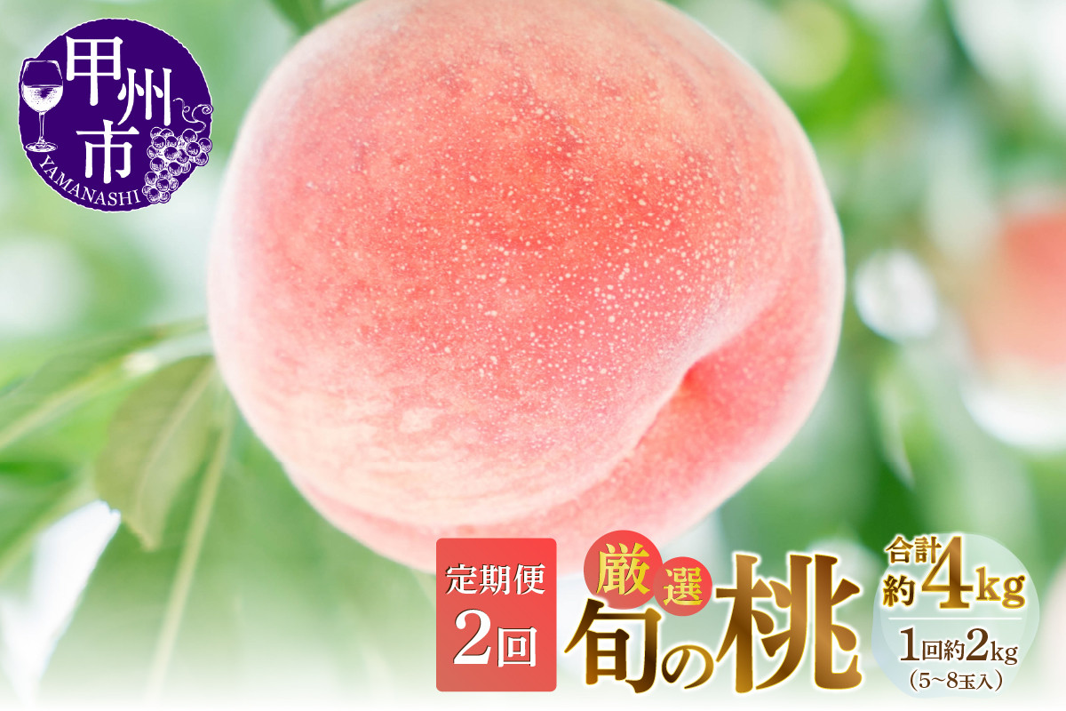 
            【定期便】甲州市産厳選旬の桃満喫コース 約2kg×2回発送【2025年発送】（MG）C-451【桃 もも モモ 令和7年発送 期間限定 山梨県産 甲州市 フルーツ 果物】
          