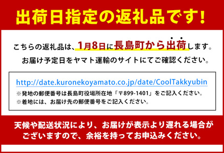【期間限定】＼年始発送 先行予約／＜数量限定＞【2027年1月8日発送】『旅サラダ』で紹介ぶりの王様「 鰤王 」 フィレ 半身 (約1.2kg～・フィレ1枚) 産地直送 新鮮 旨味が抜群の 長島町 特