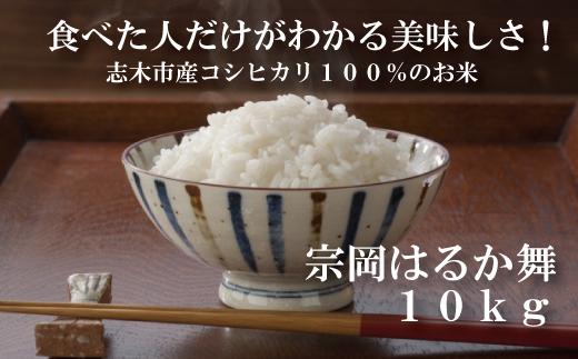 
志木市産コシヒカリ100％「宗岡はるか舞」10kg
