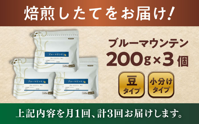 【全3回定期便】ブルーマウンテンNo.1 コーヒー豆 200g×3個 (豆) / 珈琲 コーヒー 豆 / 瀬戸市 / Ｃｏｆｆｅｅ　ＳＡＫＵＲＡ [BBAB079]