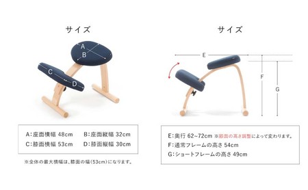 バランス イージー(カバーなし)とイージーライティングボードLのセット ショートブラック