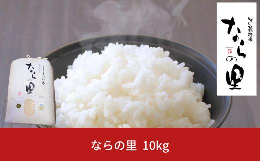 新米 新潟県産コシヒカリ「ならの里」10㎏ 特別栽培米 令和7年産米 新潟県三条市下田産 こしひかり [農事組合法人ならやま]【026S038】