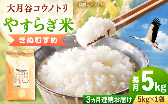 令和8年産【全3回定期便】大月谷コウノトリやすらぎ米 5kg きぬむすめ 米 こめ おこめ はくまい 白米 ライス 精米 コメ 5キロ 使いやすい ごはん ご飯 おにぎり お弁当 朝ごはん 便利 朝食 食卓 主食 グルメ おいしい 上品 ツヤ 国産 新生活 一人暮らし 家族 ご当地 ごはんソムリエ おうちごはん おすすめ 人気 定期便 島根県雲南市/有限会社藤本米穀店 [AIDB138-r8]