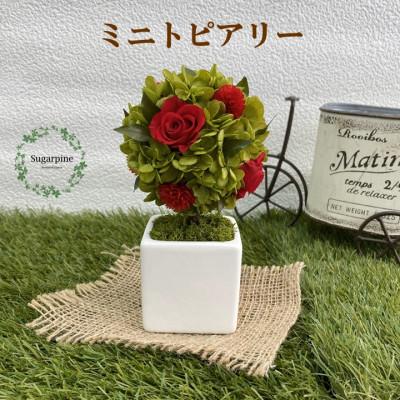 ふるさと納税 春日部市 プリザーブドフラワーアレンジ【プティシュシュ/レッド】春日部市 シュガーパイン