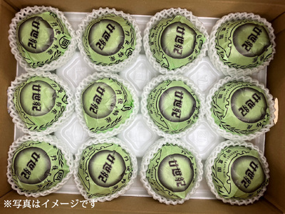 【先行予約】【期間限定】新興梨 約5kg（10玉～16玉）（梨 フルーツ 果物 秋 旬