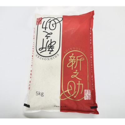 ふるさと納税 村上市 【令和7年産米】特別栽培米 村上市岩船産 新之助 精米 5kg　1029001