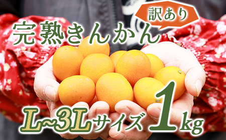 KU446 【訳あり】完熟きんかん１kg Ｌ～3Ｌサイズ 【玉様ファーム】