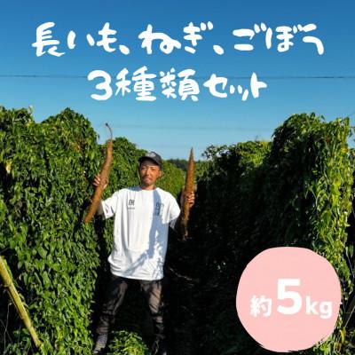 ふるさと納税 水戸市 水戸の3年長芋・ごぼう・ねぎセット　計約5kg