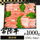 【ふるさと納税】025茨城県産黒毛和牛肉　常陸牛焼肉用約1,000g