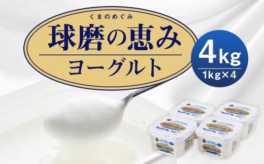 【14営業日以内発送予定】球磨の恵 ヨーグルト (加糖) 1kg 4パック 合計4kg