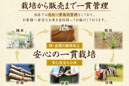 無洗米／	京都・丹後コシヒカリ 無洗米 5kg ＜創業1720年老舗米問屋がお届けする 無洗米 ＞ 作り手が見えるコシヒカリを無洗米に！ 米 無洗米、新米 無洗米、令和6年産 無洗米、お米 無洗米、こ