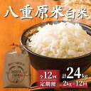 【ふるさと納税】（12回定期便）令和6年産八重原米新米予約 精米 2kg (2kg×1袋) お米 コシヒカリ白米 美味しい 甘い 長野県東御市