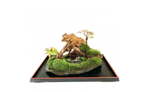 苔盆景川石山水画は、心を癒す美しい自然の景観をお部屋に届けるアイテムです。【1428834】