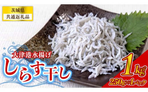 大津港水揚げしらす干し 1kg(250g×2パック×2箱) (茨城県共通返礼品:北茨城市) 冷凍  小分け パック 少量 水揚げ ごはん ご飯 丼 海鮮 魚 名物 グルメ 茨城県 魚介類 ちりめん シラス しらす じゃこ サラダ ふるさと納税 人気 料理（BC006）