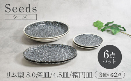【美濃焼】シーズ seeds リム型 8.0深皿 ＆ 4.5皿 ＆ 楕円皿 3種×各2点 6点セット【カネ定製陶】　うつわ プレート セット[MEI112]