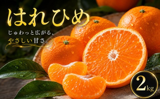 【選ぶならこれ】 とろける甘み 【はれひめ】 2kg 愛媛県産 【2027年1月上旬頃から順次発送】 | みかん ミカン mikan 蜜柑 訳ありフルーツ 柑橘 果物 おすすめ お勧め お取り寄せ ギフト 愛媛県 松山市