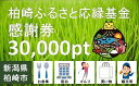 【ふるさと納税】柏崎ふるさと応縁基金感謝券（30,000pt）【 新潟県 柏崎市 】