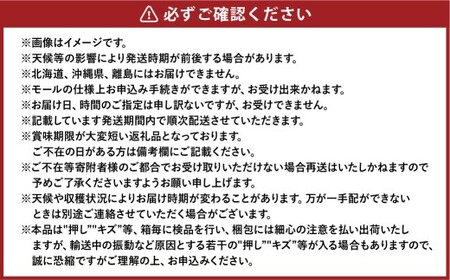 あたご梨 2玉 約1.8kg 【2026年11月下旬～12月下旬迄順次発送予定】 梨 なし ナシ 果物 フルーツ 岡山県 倉敷市
