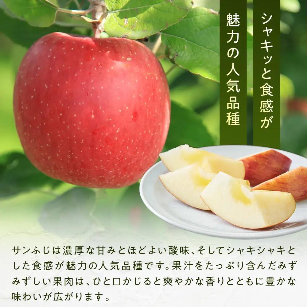 ＜ 訳あり ご家庭用 ＞2026年長野市産 サンふじ 規格外 訳あり 約5kg | りんご りんご