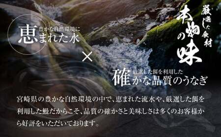 宮崎・鹿児島産 鰻蒲焼 大サイズ2尾セット