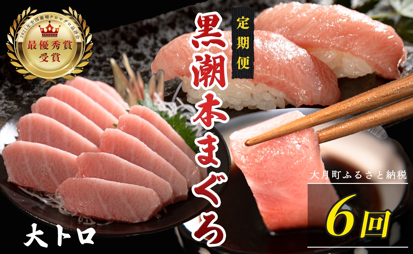 
                  訳あり 不定貫 定期便 6回 国産 養殖本マグロ 大トロ 毎回120g×6回 黒潮本まぐろ 全国養殖クロマグロ品評会 最優秀賞受賞 6ヶ月 6か月 半年 柵 刺身用 本マグロ クロマグロ 本鮪 まぐろ 鮪 お刺身 さしみ トロ 海鮮丼 漬け丼 手巻き寿司 鉄火丼 まぐろ丼 小分け 個包装 真空パック 冷凍 不揃い 家庭用 海鮮 年末年始 高知県 大月町 6万円
                